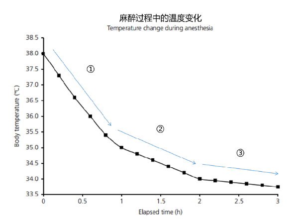 活體成像實(shí)驗(yàn)動(dòng)物麻醉與溫控標(biāo)準(zhǔn)化操作指南